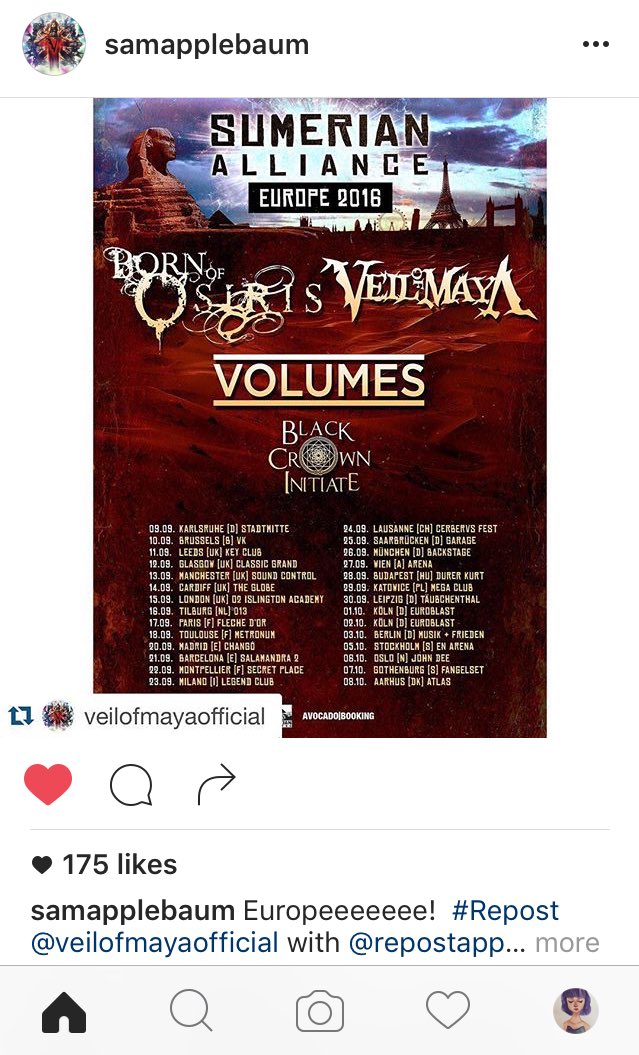 VeilOfMayaPH's tweet photo. CAN WE PLEASE MAKE THIS HAPPEN HERE 😭 @VolumesPH @veilofmayaband @Volumesband @BOOOfficial @PULPLiveWorld @Vernon_Go https://t.co/FmqYHEJWmG