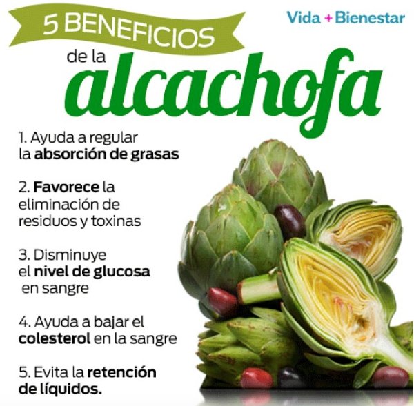 VBienestar's tweet photo. Conoce todos los beneficios que la alcahofa aporta a tu #salud https://t.co/xCunvpti8M