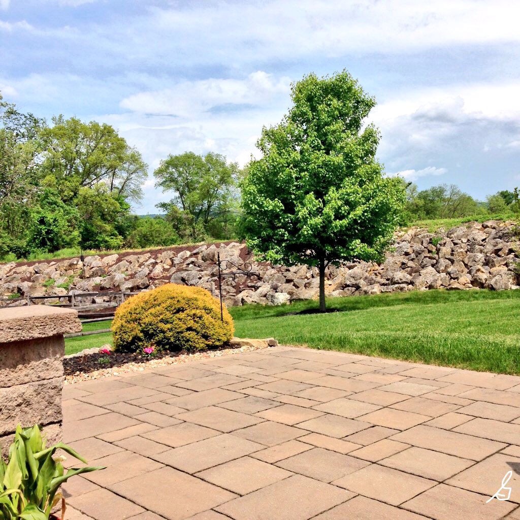 gia_m's tweet photo. Good start and end to this beautiful day... ☀️☕️🌳 #patiopeace #swingview https://t.co/Ao82EBniIv