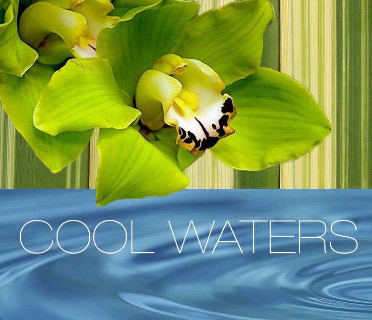 Join us for next month's design class COOL WATERS! More info: bit.ly/1NNZ91R