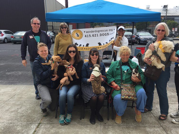 WonderDogRescue's tweet photo. The #WonderDogRescue crew for #ManeofThrones. Thank you to everyone who participated &amp; all of those who dropped by! https://t.co/B0wCXmEp1l