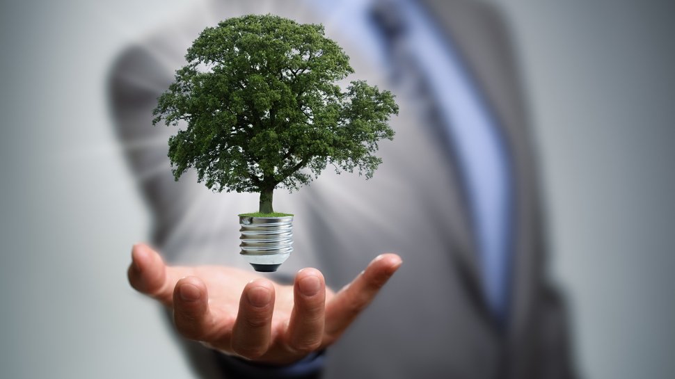 UCLAIoES's tweet photo. 8 reasons the #business world is looking for #sustainability experts https://t.co/DnsKyYnAU3 @grist. https://t.co/LkzzWMPdJT