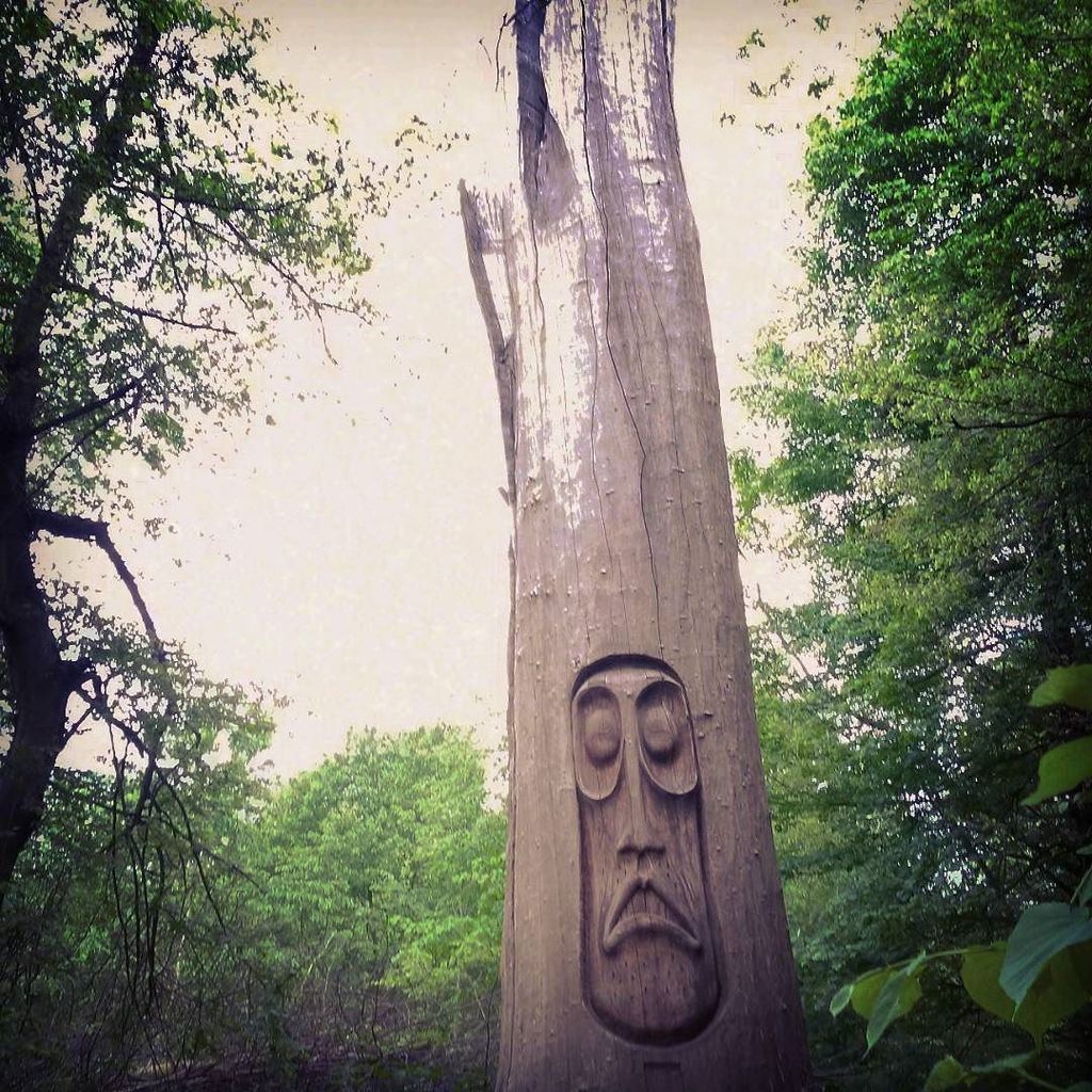 StArtEverywhere's tweet photo. #streetartparis #parisforest #sculpture #treeworship #spiritOfTheForest #2016may by jmpt75 https://t.co/zD9CfhZKrG