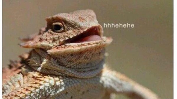 ItsLaQueefa's tweet image. when you lay there with a doublechin and scroll through your timeline and see something funny