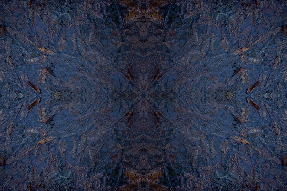 thornappledream's tweet photo. #thornappledreams #thornappleproductions #thornapple #mikeroutliffe #surrealism #myth #neo… https://t.co/0JYIECuQ4Y https://t.co/0gvxPfBFCW