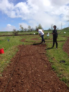 Caroline Avrsb tweet media