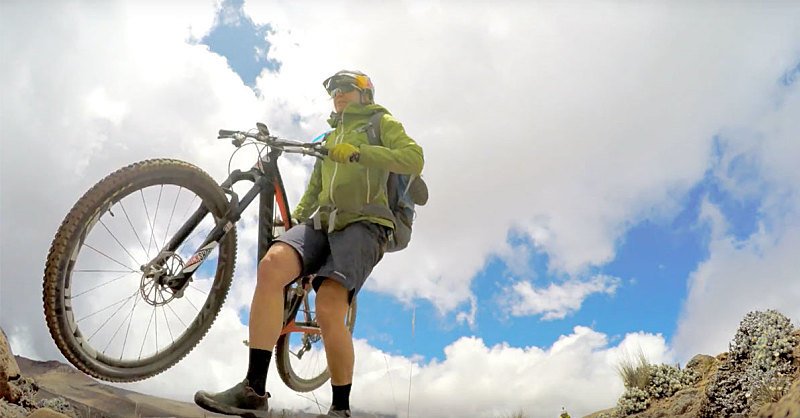 Shape Magazine tweet media