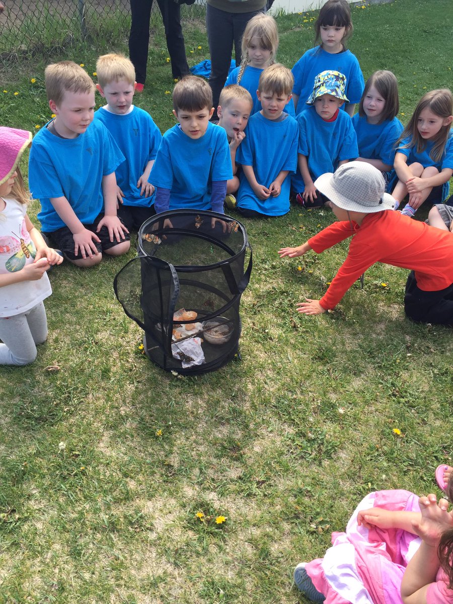 TennerAshley's tweet photo. We released our butterflies today @ChildCareYMCA  #butterflylifecycle #childrensfun #science https://t.co/vO8mtvk4ej