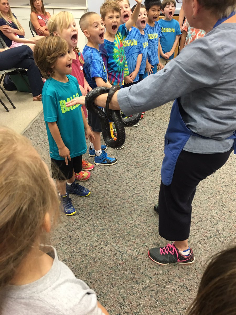 pfoushee's tweet photo. Oh my! #brassfieldproud https://t.co/7l0EsPXpk9
