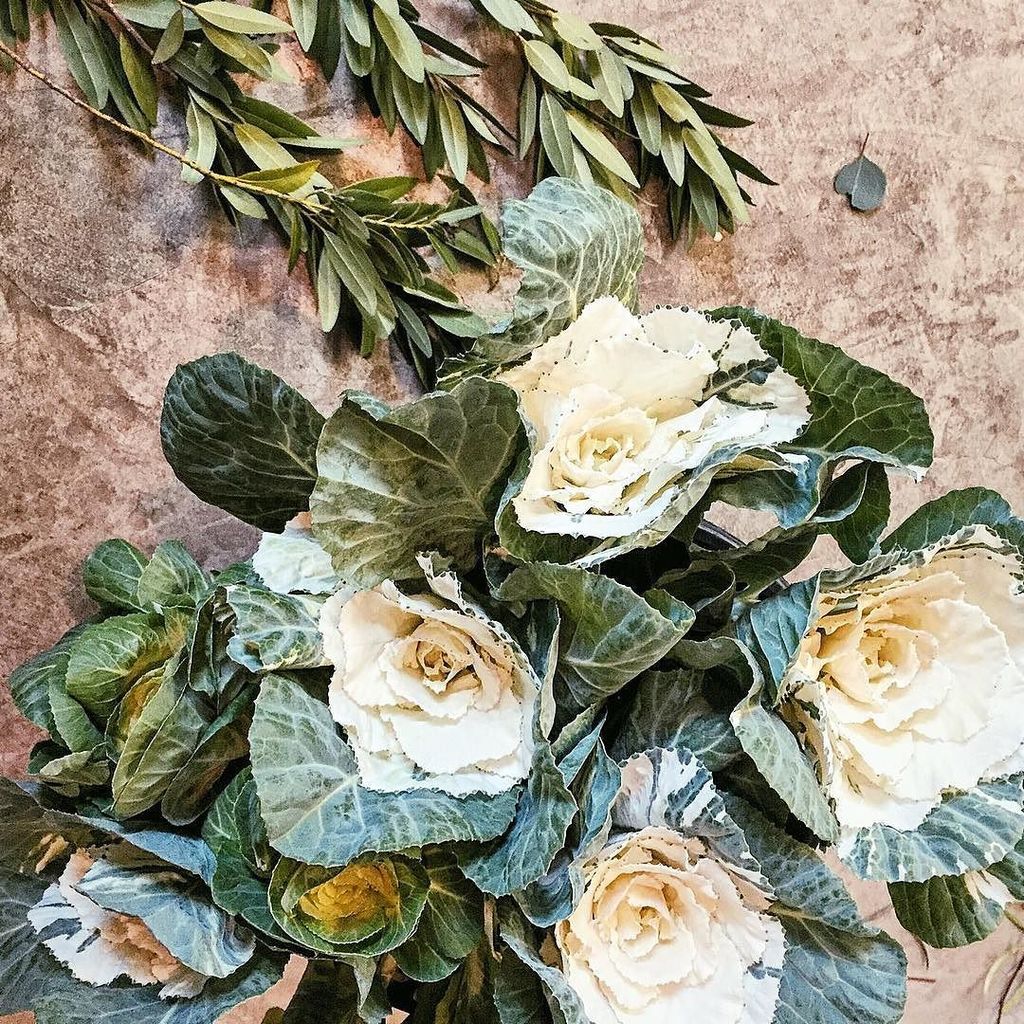 On busy days at the studio, looking down can be pretty #inspiring  This #kaleflower are so… ift.tt/20DTpIU