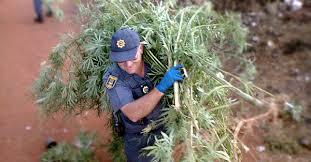 StopTheCopsZA's tweet image. It is NOT POSSIBLE to institute #JoinTheQueue proceedings after the
start of your trial. buff.ly/25lljAb