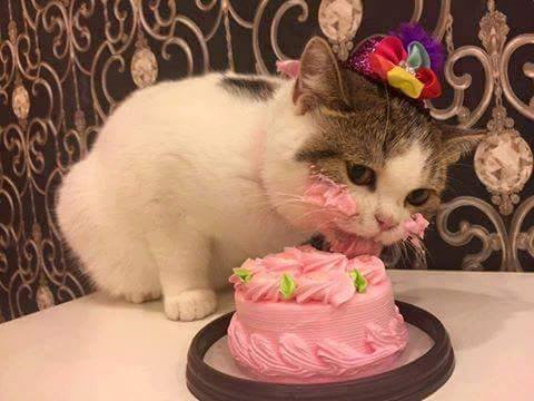 Whatever you do today, I hope you make time to tell someone you love them. And to eat a cake wearing a tiny hat.