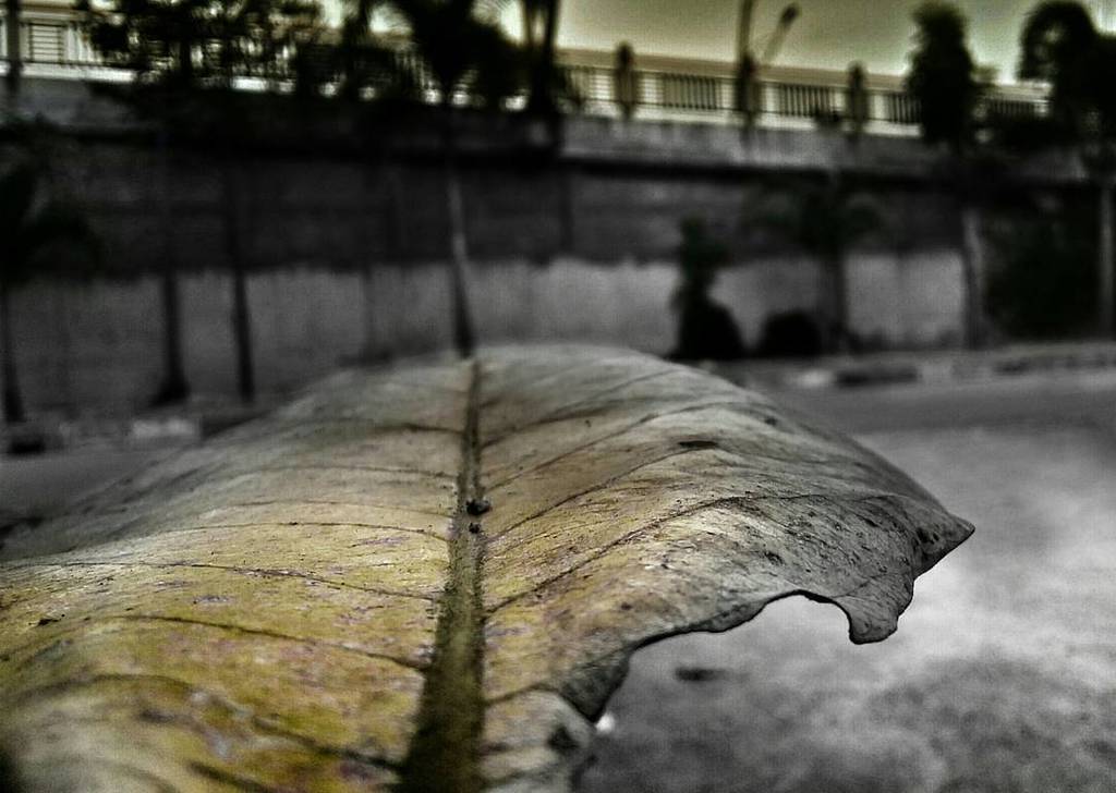 JovitaBeltranJ's tweet image. Tidak akan selalu kamu dapatkan keindahan yang mewarnai hari mu

#vscoaceh #ig_aceh #igaceh #aceh #life #nature #bl…