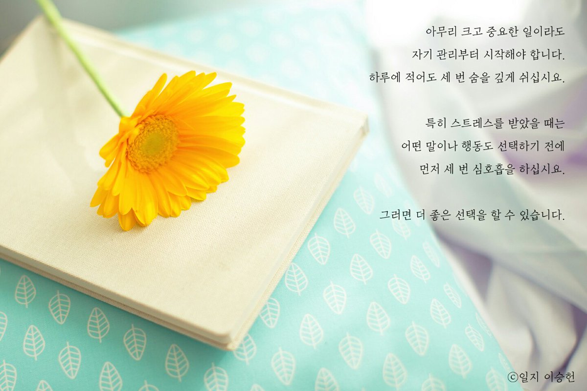 일지 이승헌 tweet media