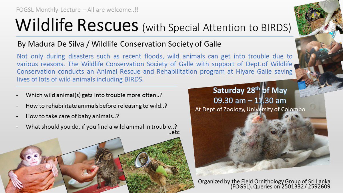 FOGSrilanka's tweet photo. FOGSL Monthly Lecture - Saturday, 28th.May 2016 from 09.30 - 11.30 at NBLT, Dept. of Zoology, University of Colombo https://t.co/ler262hfqp