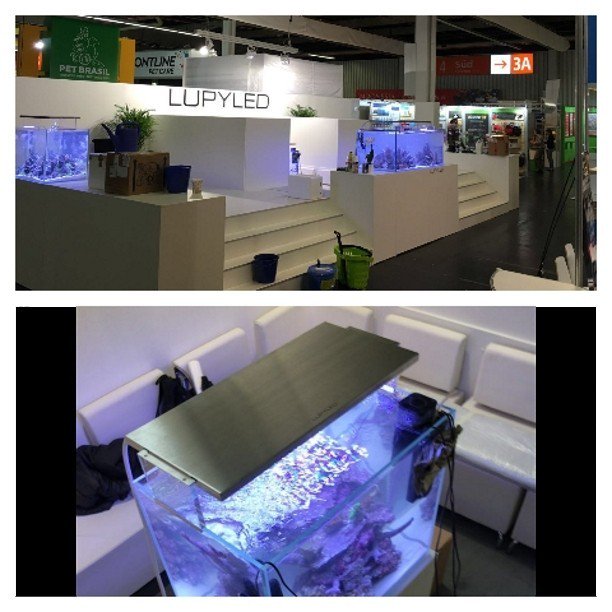 #akvaristan #aquarium #akvaryum #aquarien Our LUPYLED Booth @INTERZOO  exhibition is nearly ready. Hall 3, booth 23…