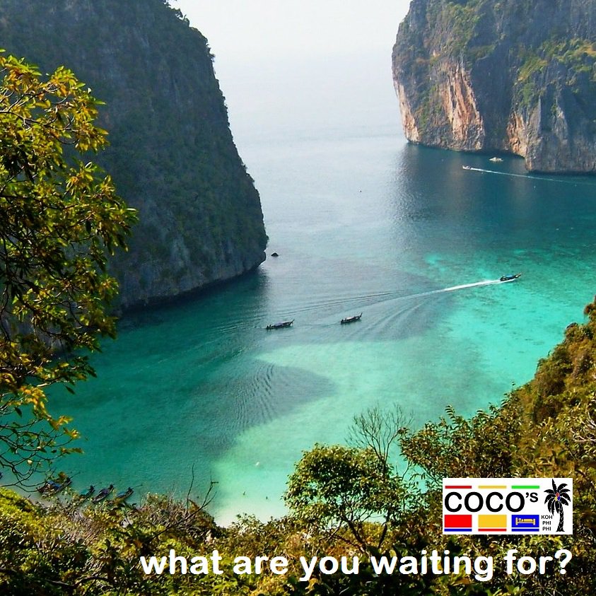 PPCoco1's tweet photo. Visit the paradise-adventure-fun-party island of Koh #PhiPhi.
Coco's Guesthouse @ https://t.co/q1yJvIug3G
#ppdeal https://t.co/sXmTB3eMi7