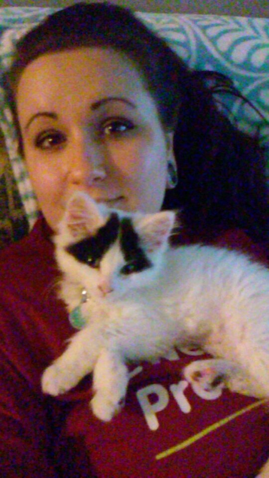 damnitmegan's tweet photo. update: i has added lil bb kinten Tootsie to our fur clan https://t.co/hLJP8sIwb0