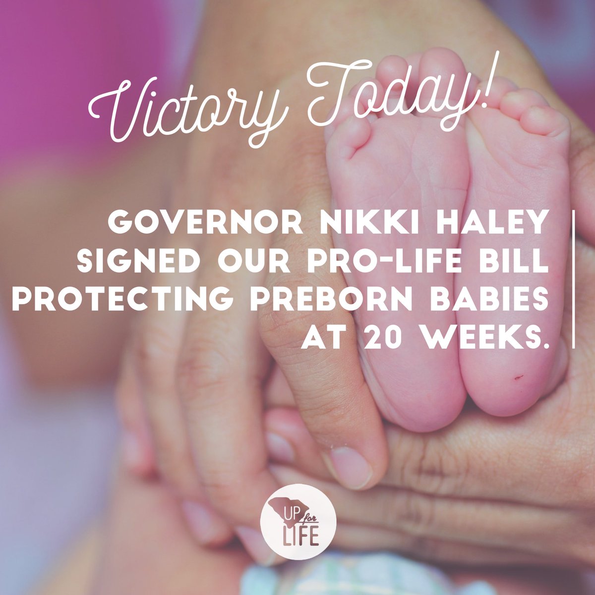gville4life's tweet image. Pro-life victory today in SC! Thank you Governor @nikkihaley! #prolife #upstate4life