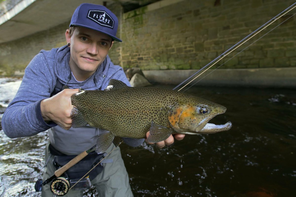 JustFlyfishing's tweet photo. Wow...what a trout !
#Justfly #flyboxcap #flyfishing #flyfishingadventure #trout #fishing #fisherman https://t.co/YrY0C0i5vn