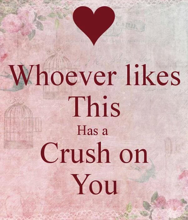 DoctorUndyne's tweet image. U-um....i'm guessing none..."