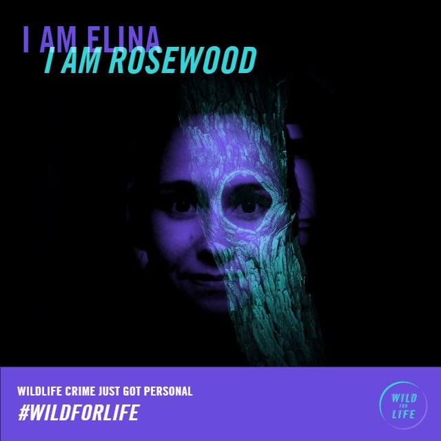 Wild Life Crime Just Got Personal. Find out at #WildforLife #UNEA2