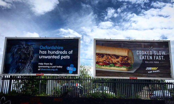 AndrewBloch's tweet photo. Unfortunate ad placement of the day https://t.co/qWyzpzC7Tc