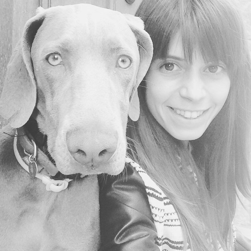 Tin_C_Astro's tweet photo. La cabezona #veleando #animals #animallovers #animaladdicts #animaleando #puppies #dogs #animaleando #bracodeweimar… https://t.co/8czvFbK5NI