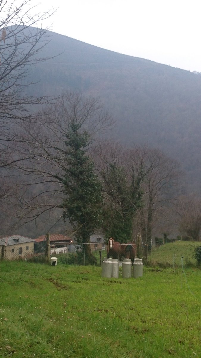 Asturias_cALMA's tweet photo. #caballos #cantaras #praos #Salas #Asturias https://t.co/NV5mcWDf3F