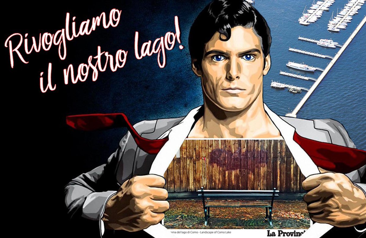 antonella corengia tweet media