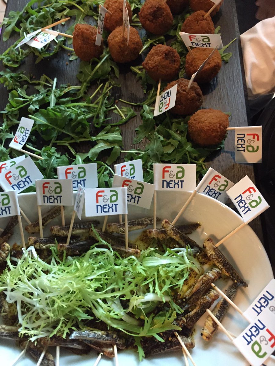 Protifarm tweet media