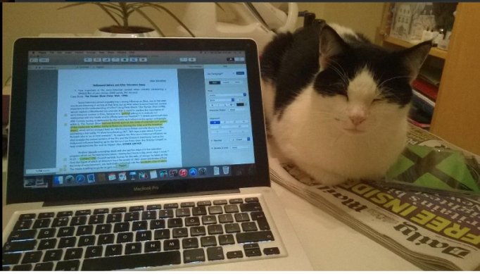 SolentPress's tweet image. Enjoy your freelance times as much as you can! For more details follow this link ow.ly/JuZE300esa5