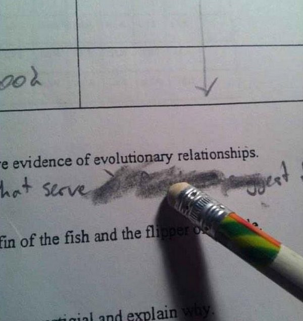 I HATE erasers like this... like you had ONE job
