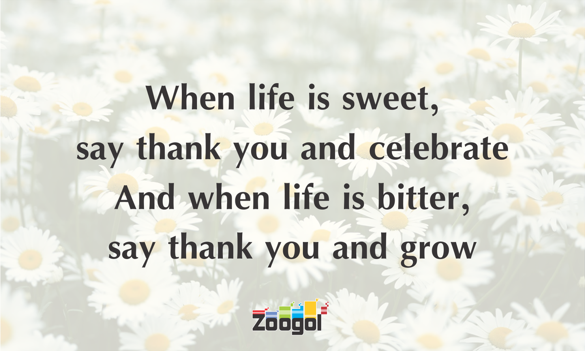 ritikaverma024's tweet photo. https://t.co/h4NiTsUH6x