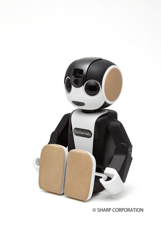 たとえば、私、魔女の機器です。こっちは黒猫のロボホン。