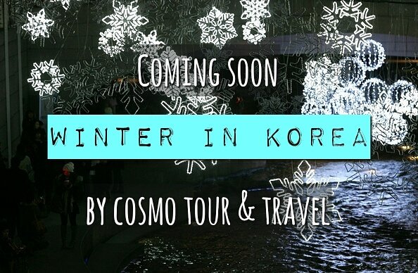 cosmotourtravel tweet picture