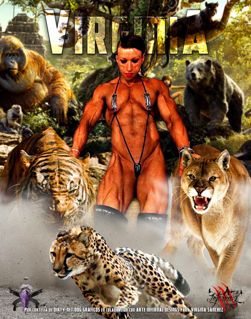 virginamazon tweet picture