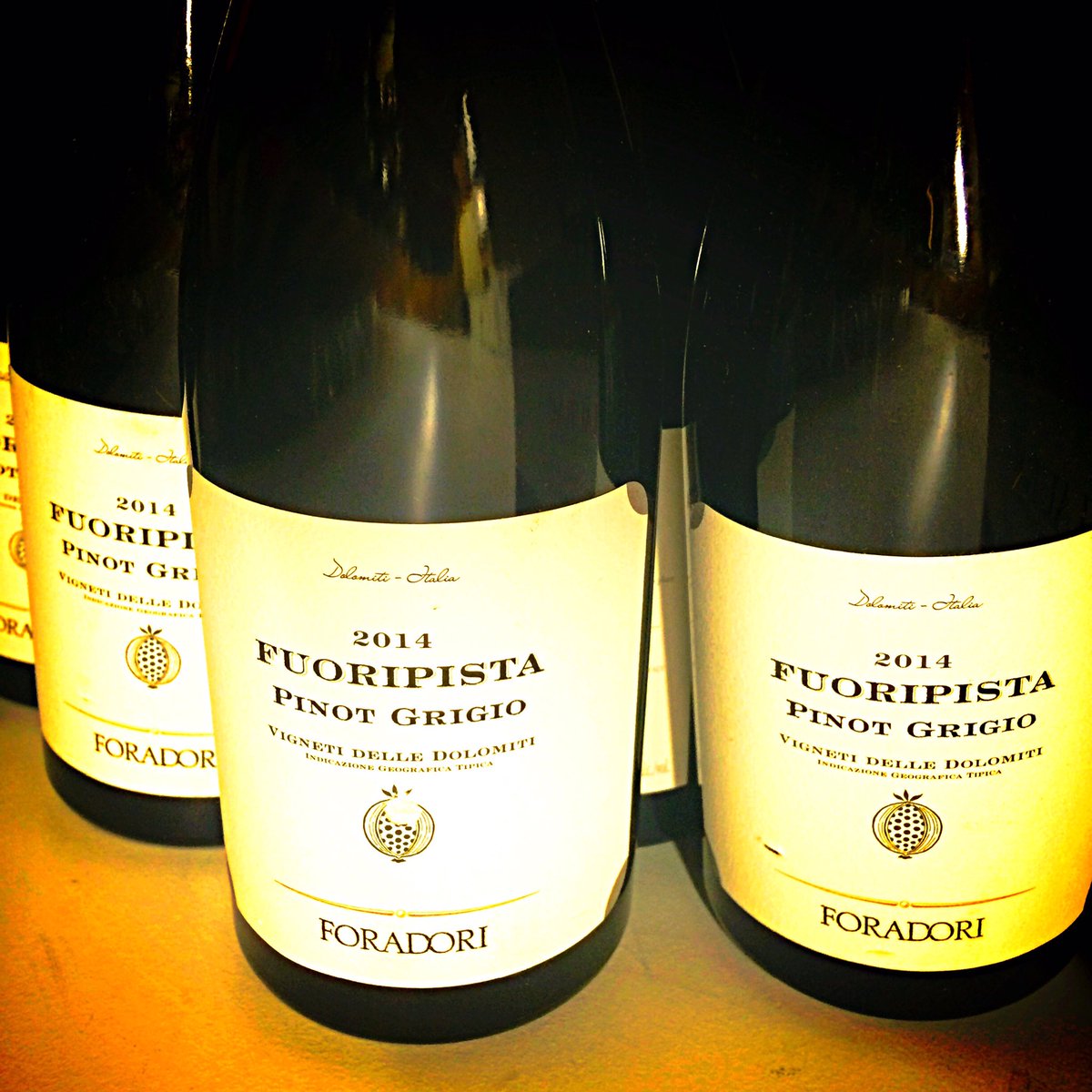 GastroGav_89's tweet photo. We Think It's Time To Get @AzAgrForadori Out Of The @HandFWine Cellar! #PinotTime #MidWeekReward https://t.co/4SIMZlfAr9