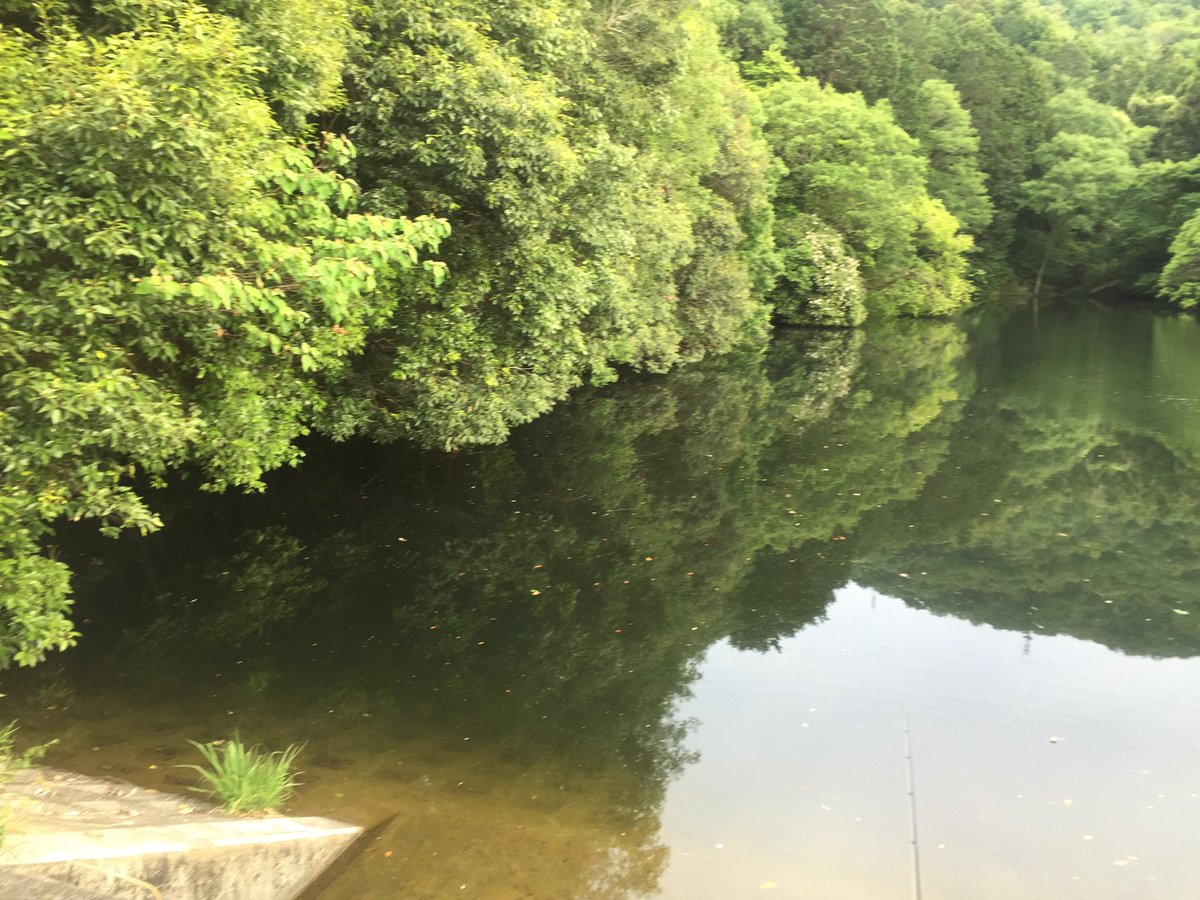 basuxtuli's tweet image. フォロワー増やしたいし全国のバス釣り好きと繋がりたいのでタグします！リツイートお願いします！！！！
#バス 釣り好きな人RT
#50UP釣ったことある人RT
#野池好きな人RＴ 
#とりあえずRT 
#RTした人全員フォローする