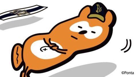 Ponta ポンタは オリックス バファローズの キャップを てにいれた おや ポンタのようすが ポンタの新 Twitter開始 今すぐフォロー T Co Ii53bmhjpq バファローズポンタ T Co F32nusrnng