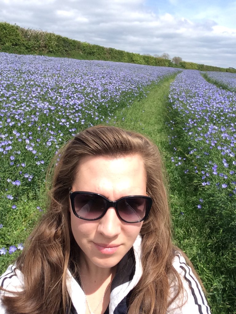 countrygrlabrd's tweet photo. Winter Linseed @eastdevon #axmouth #countryside #fields https://t.co/KSsivY8UjT