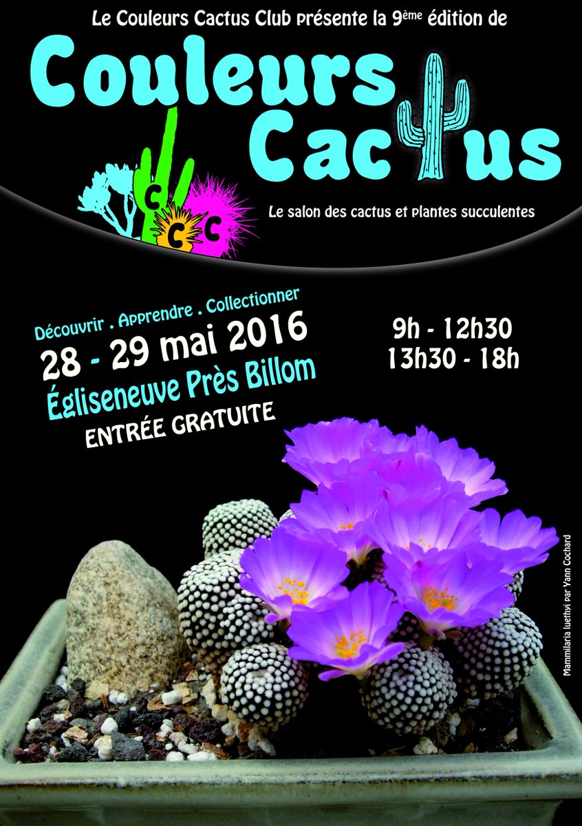 couleur cactus 28 et 29 mai 2016 CjXqLs_VEAQrZt7