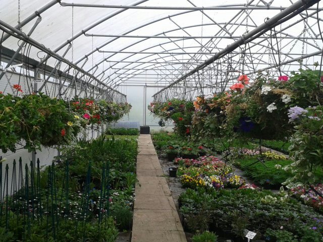Hanging baskets are looking good <a href="/HunscoteFarm/">Hunscote Farm Shop</a> #chelseaflowershow #farmshopuk #summer