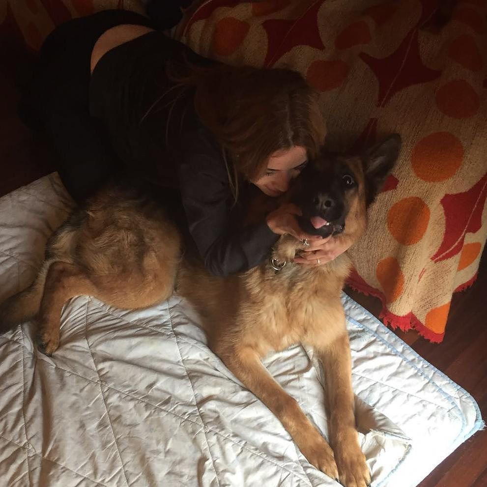 Fede_Soler_Mej's tweet photo. #basta #mamma #troppo #love #esageri #gsdpage #gsdsofigworld #gsdlove #gsdofinstagram #gsdlife #gsd #bebe #vida #ca… https://t.co/IqtQVPBtDT