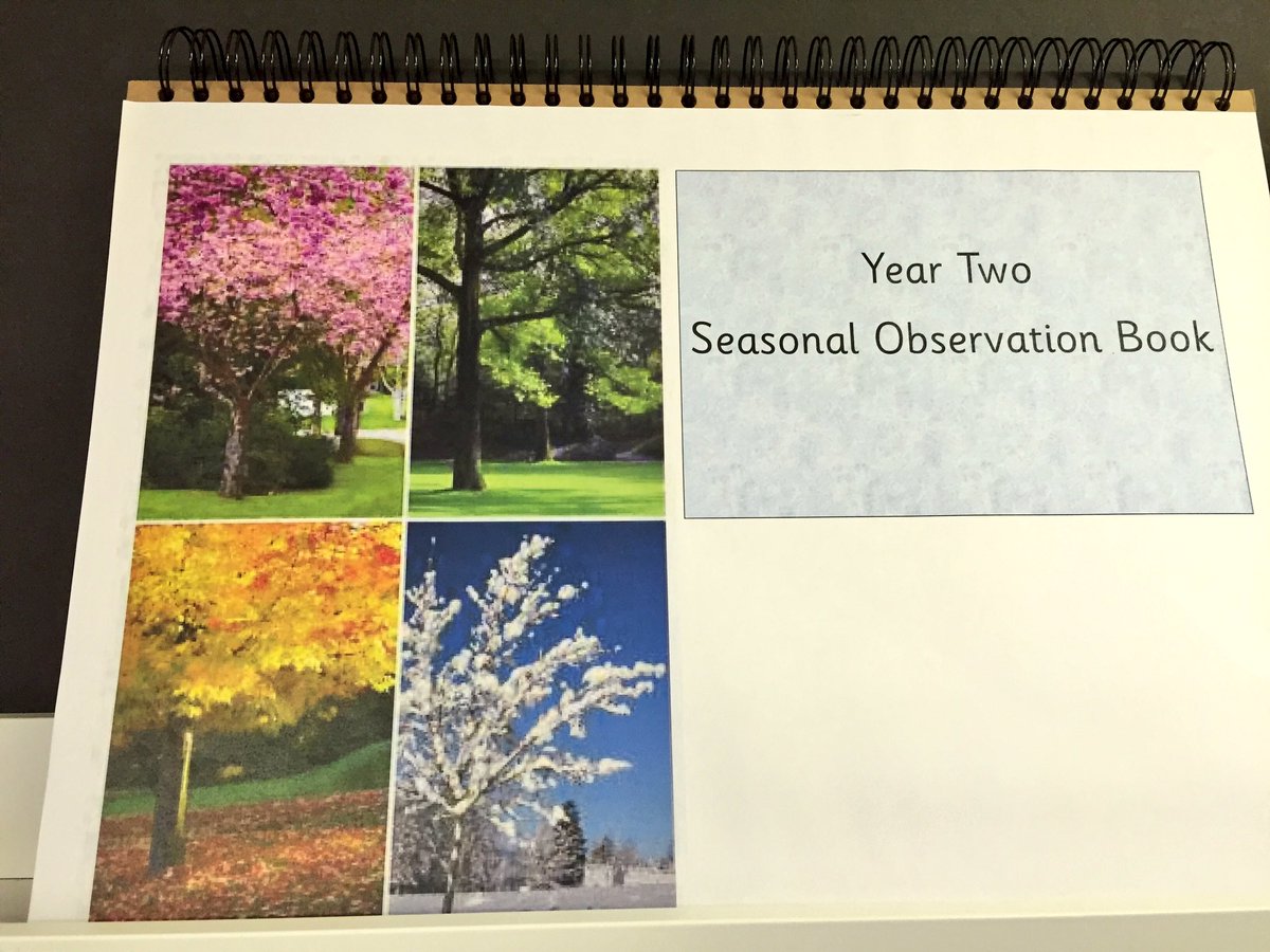 OnoFnlomce_net's tweet photo. Celebrating home learning linked to our seasonal observations #weather #LRAY2 #amazingparents https://t.co/TGV2cumpFD