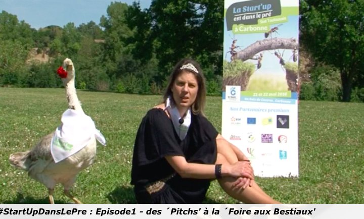 Le_Gest's tweet photo. #SUDLP #Carbonne #webserie @TvLocale_fr 31 était là tout le week-end pour @SUDLP_concours https://t.co/lyOd9CsQFY https://t.co/kQS1SVJUg8