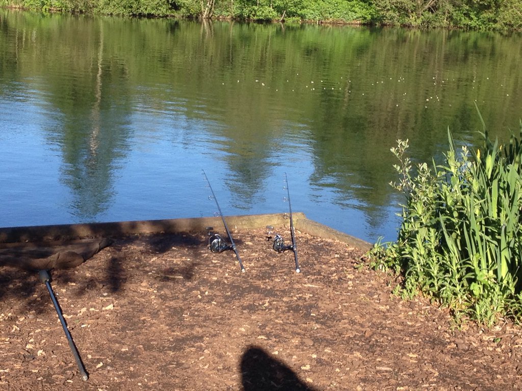 ConnorAngler's tweet photo. Willow park on the weekend ! #carp #carpfishing #willowpark #4carp #mirrors #commons #fullyscaled #savagetakes https://t.co/HRrvj9Vbi8