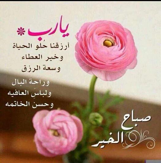 mohag (@mohamed03261167) on Twitter photo 