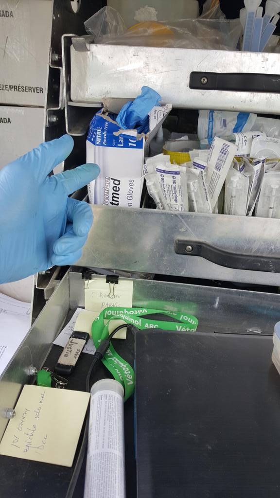 JustinRDMV's tweet photo. .@HowNowDownCow @KennedyCreek1 @rebvet one new pair of glove for each visit #BiosecurityFirst #BiosécuritéAvantTout https://t.co/STzMM8th24