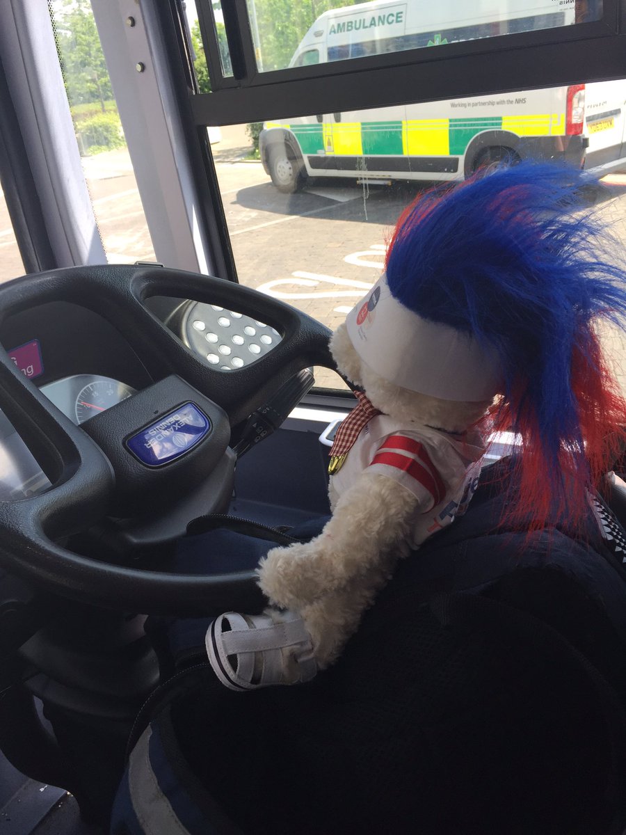 CommChamp_Tesco's tweet photo. #charitybear Harvey learning to drive the bus https://t.co/ydiBYUHzSG